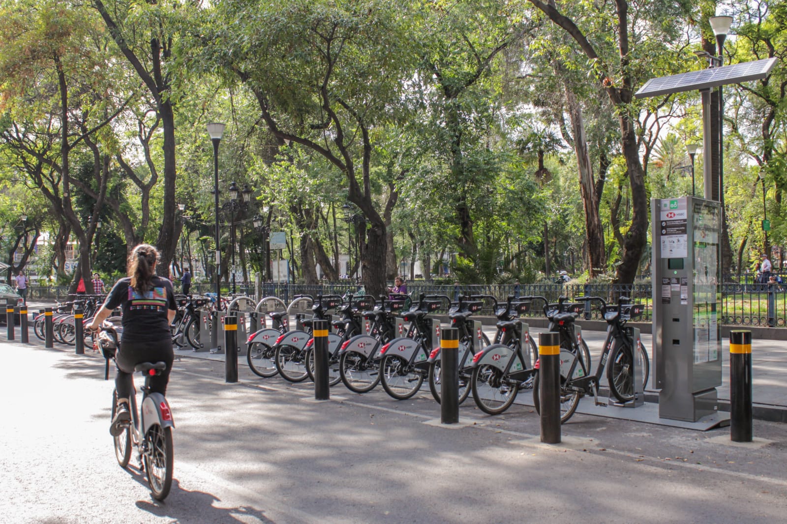 ECOBICI reduce 466 toneladas de CO2 y fomenta la movilidad sustentable en la Ciudad de México