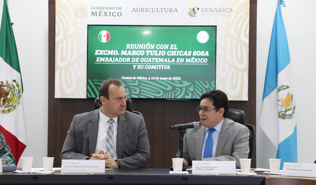México y Guatemala fortalecen medidas sanitarias en el comercio de productos cárnicos