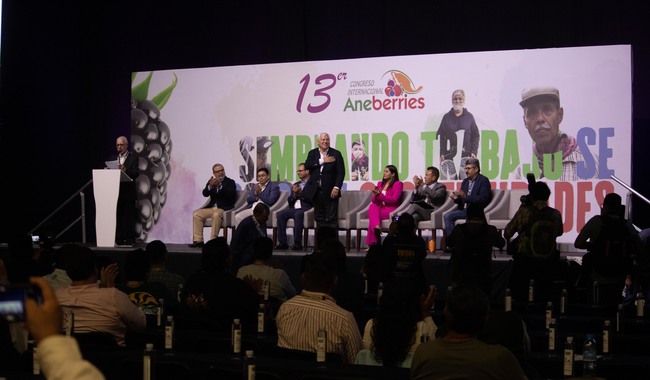 Frutillas en México: Pilar de la Economía con 450 mil Empleos Directos