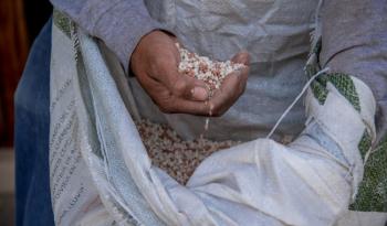 Programa Fertilizantes para el Bienestar impulsa la producción agrícola en México