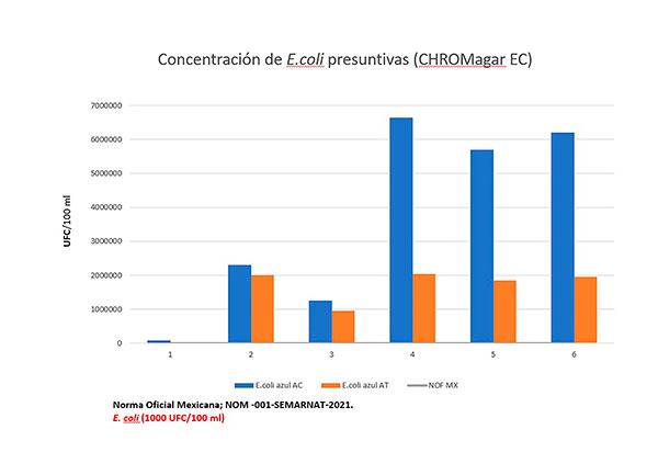 Alta contaminación de E.coli en aguas y suelo del Valle del Mezquital: Investigadores de la UNAM alertan sobre la resistencia a antibióticos