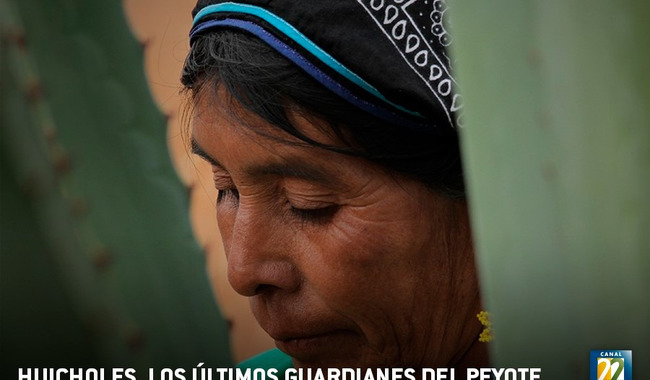 Huicholes: Los últimos guardianes del peyote, un documental que defiende Wirikuta en el Día Internacional de los Pueblos Indígenas