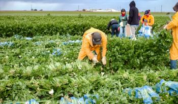 México y Estados Unidos Avanzan en Detección de Patógenos Alimentarios con Tecnología de Genoma