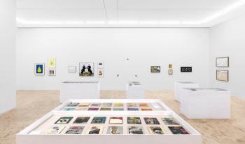 Fichero-ficción en el Museo Tamayo: Explorando el Legado de Carla Stellweg