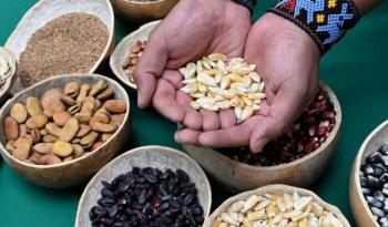 Refrigerio Escolar Saludable: Clave para el Rendimiento Académico