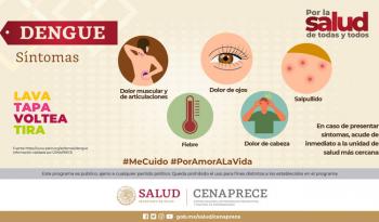 Dengue: Importancia de No Automedicarse y Buscar Atención Médica