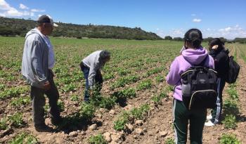 Reducción de quemas agropecuarias para preservar suelos y ecosistemas en México