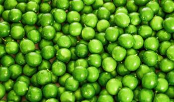 Crecimiento del PIB en el Sector Primario y Exportaciones Agropecuarias en México