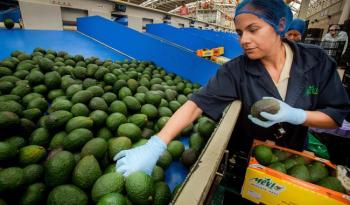 Las exportaciones agroalimentarias de México aumentan un 4.7% en el período enero-octubre de 2023