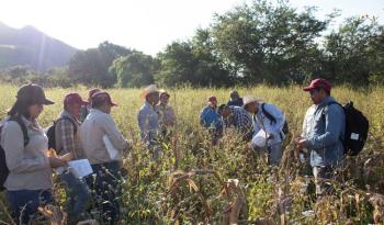 INIFAP impulsa desarrollo sustentable y competitivo en el campo mexicano con 10 nuevas tecnologías en 2023