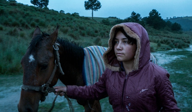 El cine mexicano brilló en el 2023: reconocimientos y diversidad de historias en pantalla 