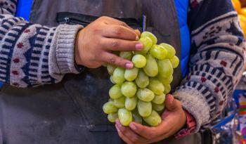 Aumenta producción de uva de mesa en México para el rito de las 12 uvas en año nuevo