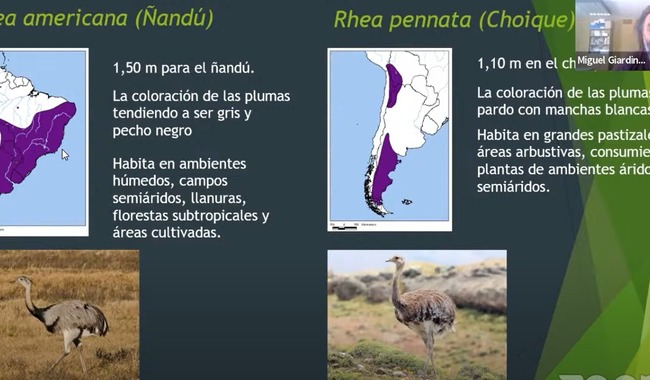 Cazadores pasados y presentes estudio de las estrategias de caza de los gauchos patagónicos 