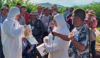 Agricultura refuerza acciones fitosanitarias para combatir el HLB en México