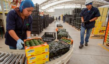 Superávit histórico México consolida exportación de productos agroalimentarios