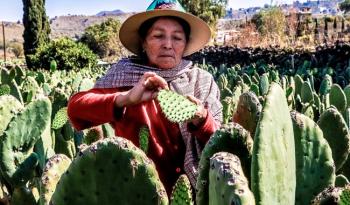 Impulsando a las Mipymes agricultura y economía trazan plan para facilitar trámites y mejorar competitividad