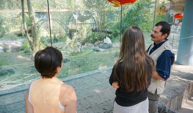 Inversión millonaria en el zoológico de Chapultepec centro de conservación de la fauna silvestre 