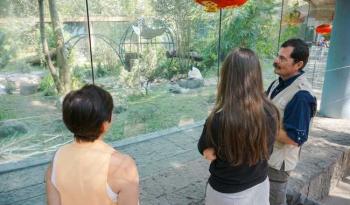 Inversión millonaria en el zoológico de Chapultepec centro de conservación de la fauna silvestre