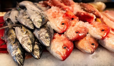 Producción de Pescados y Mariscos en México Supera los 42 Mil Millones de Pesos en 2023