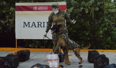 Aseguran 672 kilos de cocaína operativo exitoso de la armada de México en Huatulco 
