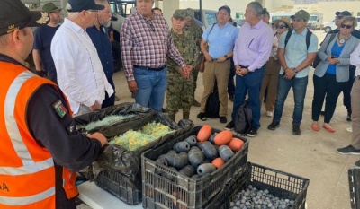 Cooperación México-Estados Unidos para la Protección de la Vaquita Marina y la Totoaba
