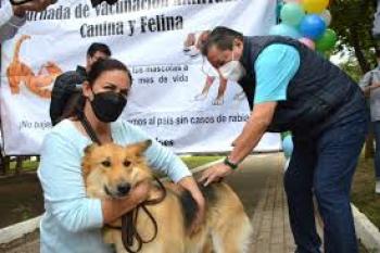 Vacunación Antirrábica: Protege a tus Mascotas y a tu Familia - Secretaría de Salud