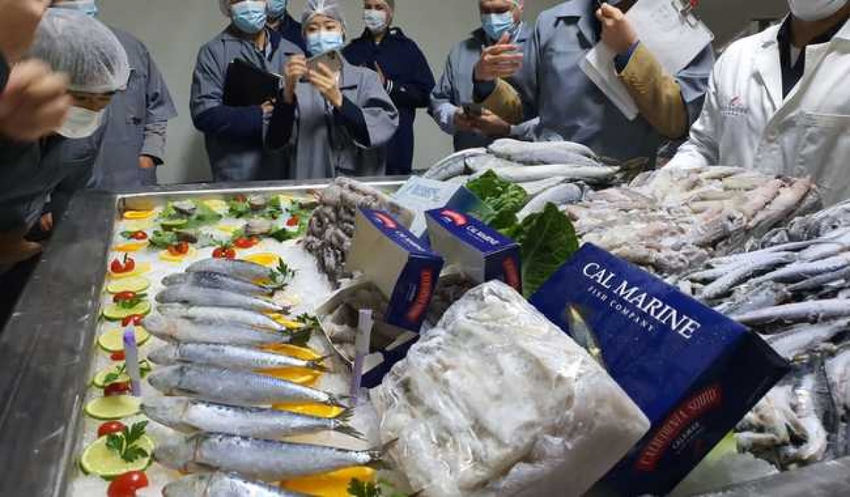 México y Japón fortalecen la inversión en la industria pesquera en Ensenada