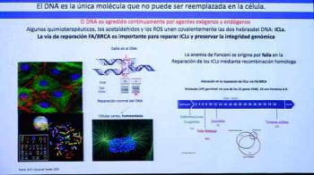 Descubrimientos de la UNAM mejoran el diagnóstico temprano de la anemia de Fanconi