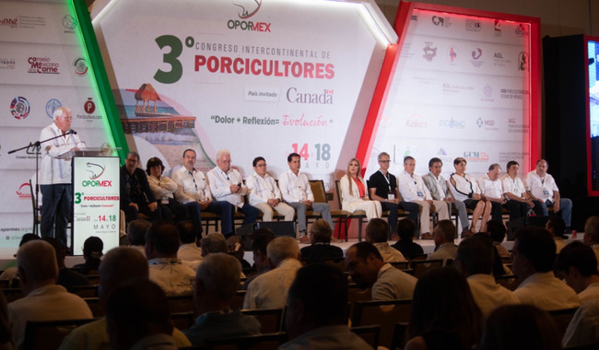 Tercer Congreso Intercontinental de Porcicultores de Opormex: Desafíos y Perspectivas