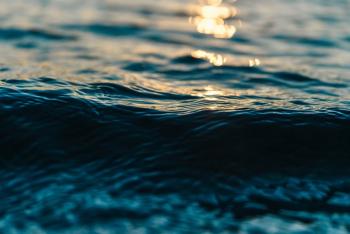 Las aguas europeas contaminadas por sustancia química persistente, denuncian asociaciones