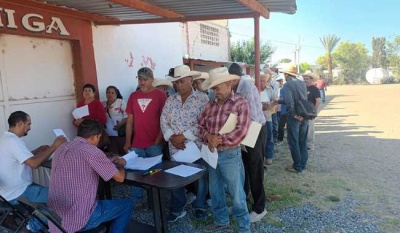 Entrega de Semillas Certificadas de Frijol en Zacatecas: Impulso a la Producción y Autosuficiencia Alimentaria