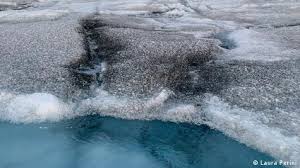Virus Gigantes Descubiertos en Groenlandia: Clave para Mitigar el Derretimiento del Hielo