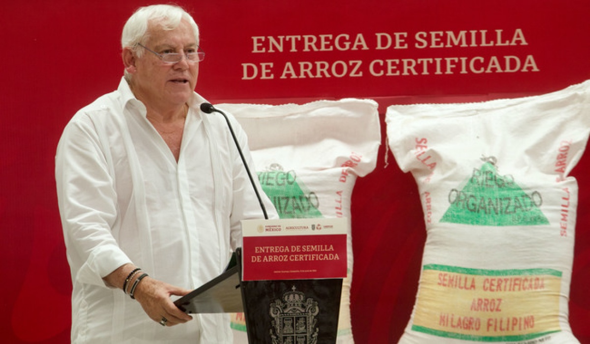 Inicia Siembra de Arroz en Campeche: Fortalecimiento del Sector Agrícola Nacional