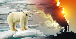 El Papel de la Variabilidad Climática Natural en el Calentamiento Global y del Ártico