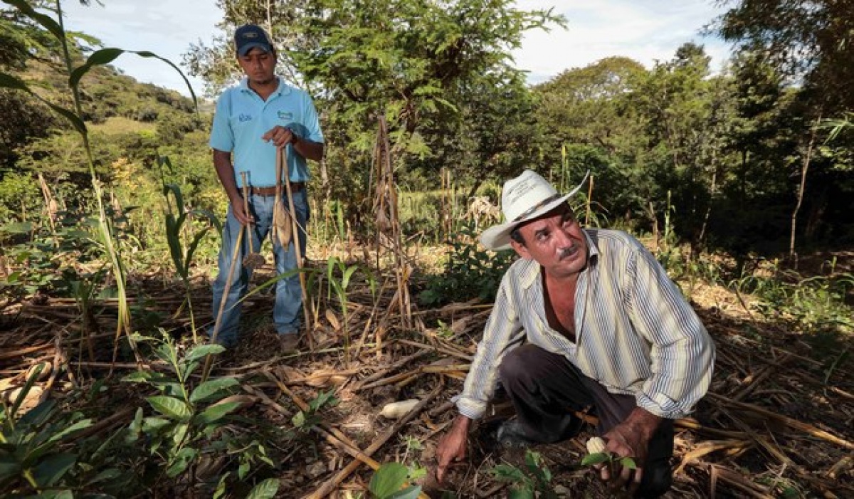 México impulsa estrategias para la conservación y manejo sostenible del suelo agrícola