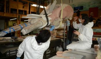 ENAH y UNAM lanzan primera edición del Diplomado en Paleontología