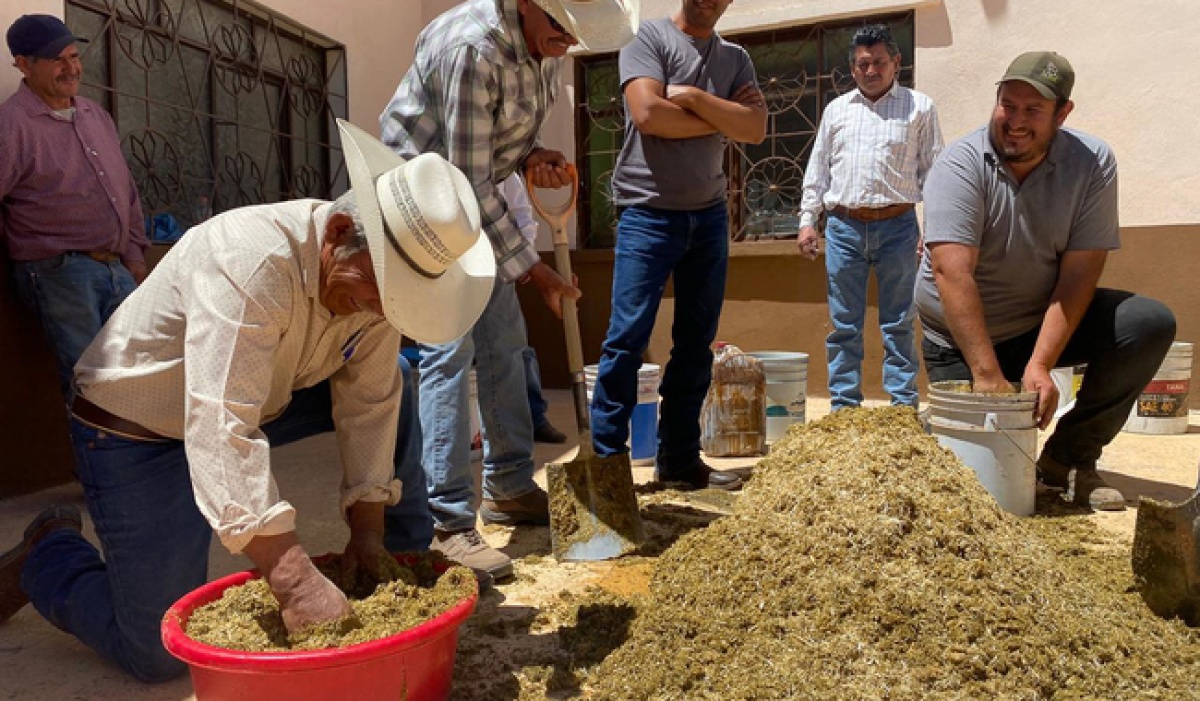 Capacitación a productores pecuarios de Zacatecas para enfrentar sequías y mejorar la productividad