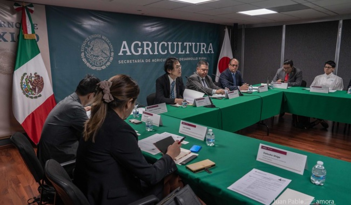 México y Japón buscan ampliar el comercio agroalimentario con nuevas oportunidades