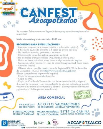 Celebra a tu amigo de cuatro patas en el Can Fest 2024 en la Ciudad de México