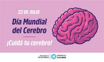 Día Mundial del Cerebro: Cómo proteger tu salud cerebral y evitar daños graves