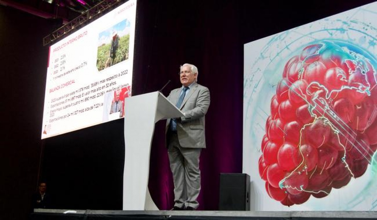 México lidera la producción mundial de berries: un orgullo nacional
