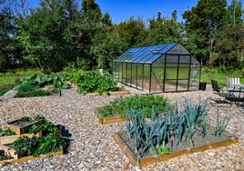 Guía para sembrar en septiembre: plantas ideales para tu huerto al cierre del verano en México