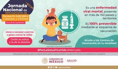 Jornada Nacional de Vacunación Antirrábica para Perros y Gatos en México