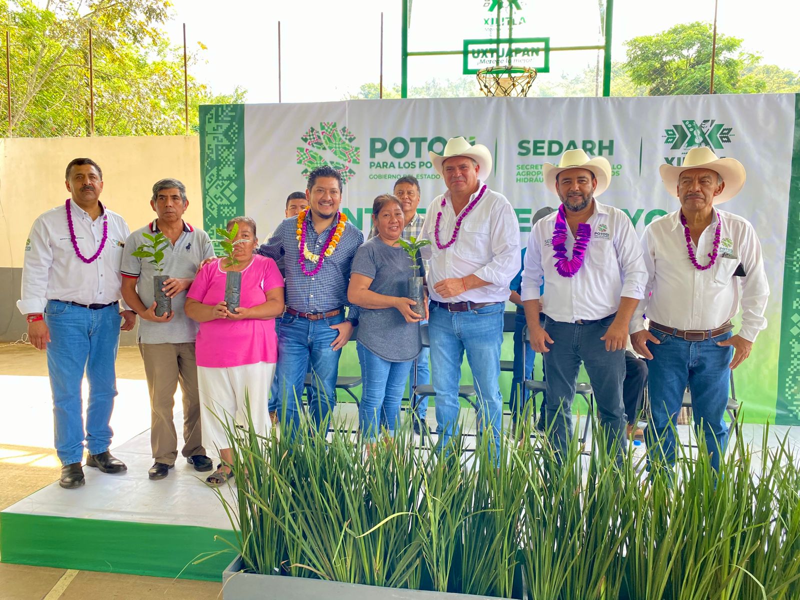 Ejecutivo estatal impulsa caficultura en San Luis Potosí con entrega de un millón de cafetos resistentes