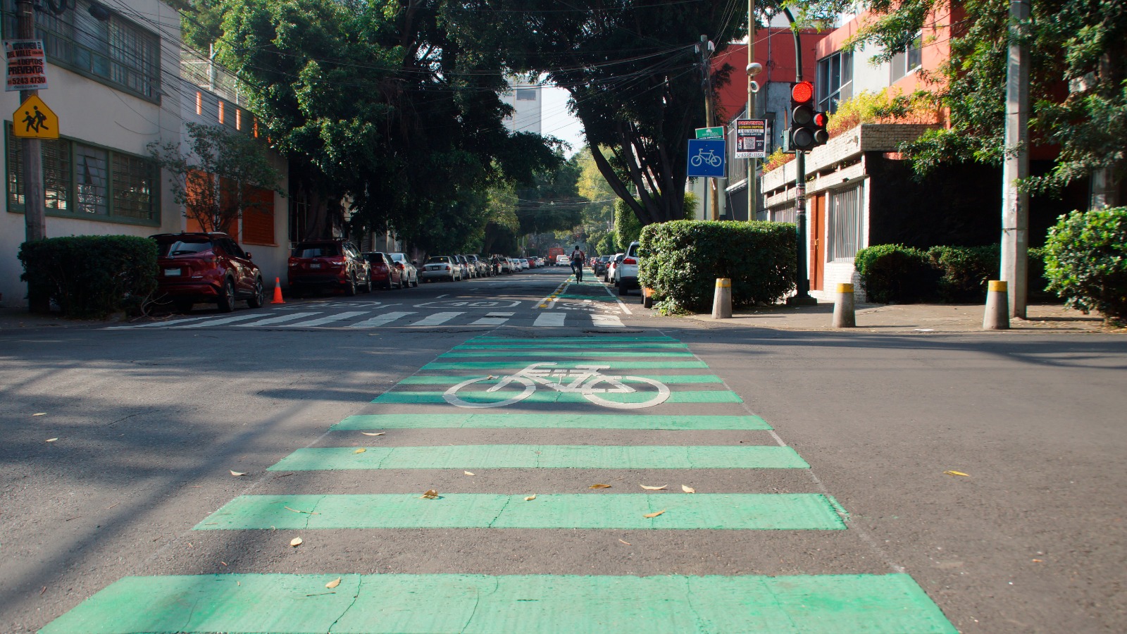 CDMX renueva ciclovías en colonia Del Valle para mejorar movilidad ciclista