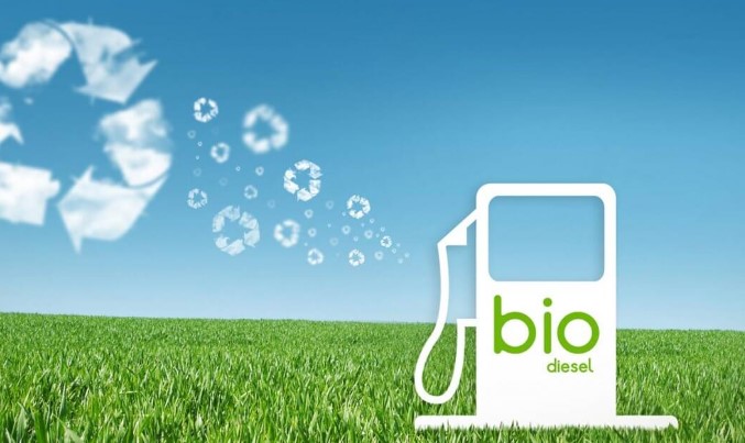Revolución del biodiésel: nueva tecnología limpia y económica transforma la producción
