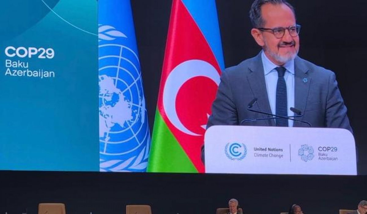 México en la COP29: Compromisos climáticos y justicia intergeneracional