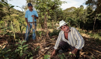 México celebra la “Semana de los Suelos” para destacar su importancia ambiental y alimentaria