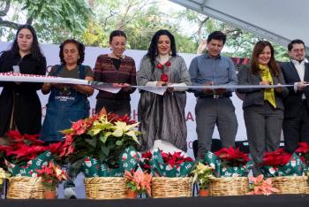 Festival Flores de Nochebuena: tradición y economía en CDMX