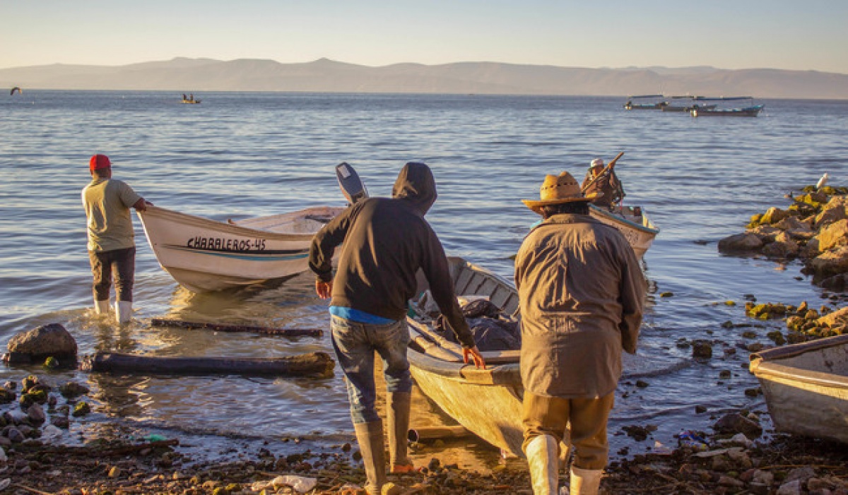 Inicia veda y aprovechamiento de especies marinas en diciembre